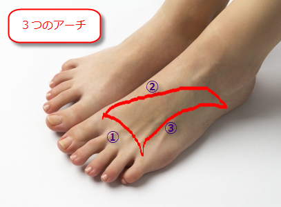 外反母趾の原因ともいえる開帳足について 自分でできる 外反母趾の治し方